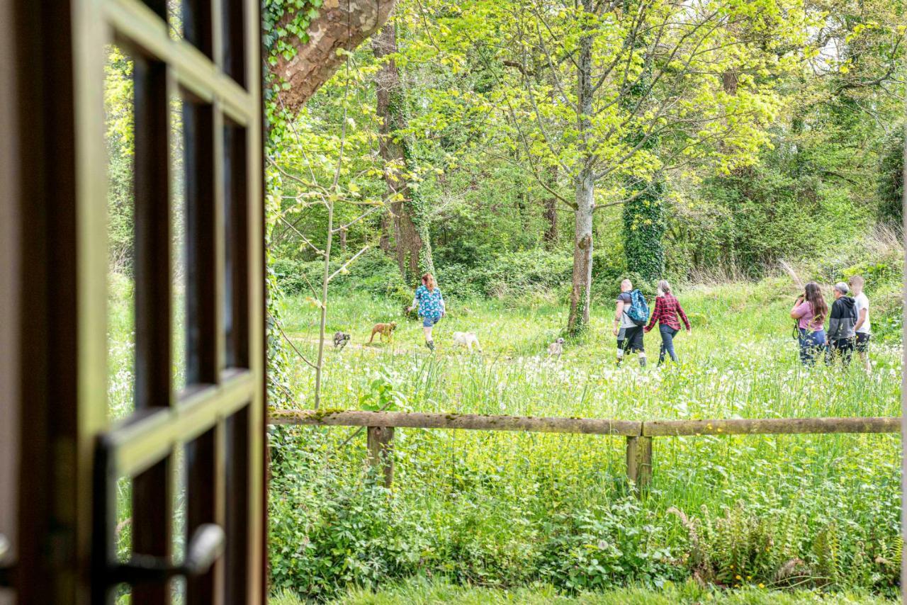 Maison De Charme A Proximite De Pau - 3 Chambres - 6 P - Jardin Sendets  Exteriör bild